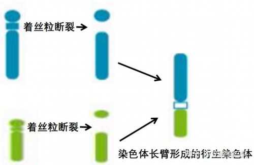 无锡代生孩价格,无锡试管婴儿私立医院都是哪些(无锡试管婴儿费用大概要多少钱)