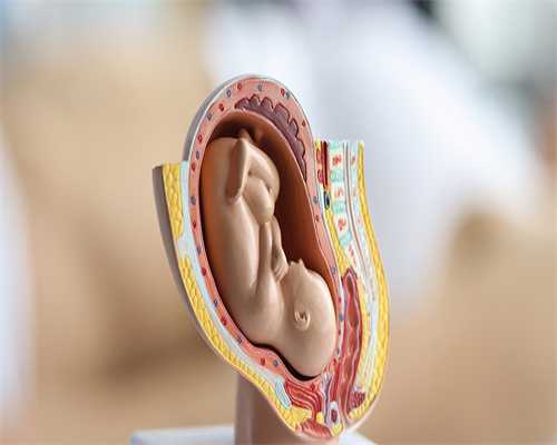 什么叫女卵泡期：卵泡发育不好叫卵巢早衰吗